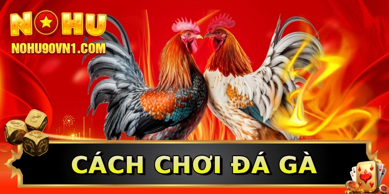 Cách chơi đá gà