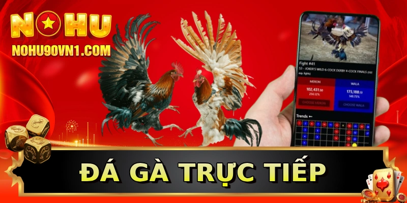 Đá gà trực tiếp