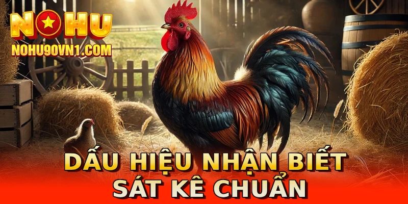 Dấu hiệu nhận biết sát kê chuẩn