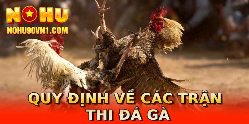 Quy định về các trận thi đá gà