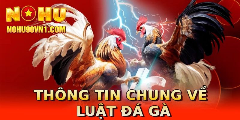 Thông tin chung về luật đá gà