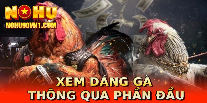 Xem dáng gà thông qua phần đầu